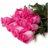 11 малиновых роз в ленте - заказать доставку цветов онлайн