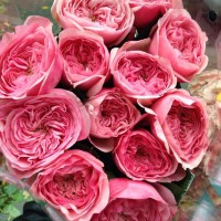 Букет из 11 пионовидных розовых роз