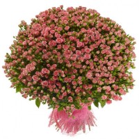Букет из 501 спрей-розы - заказать доставку цветов онлайн