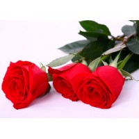 Три красные розы в ленте - заказать доставку цветов онлайн