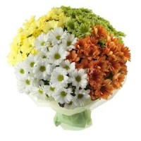 Калейдоскоп из хризантем - заказать доставку цветов онлайн