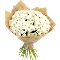 Букет из 15 хризантем - заказать доставку цветов онлайн