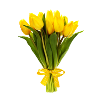 11 тюльпанов в ленте - заказать доставку цветов онлайн