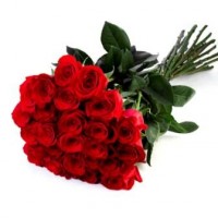 25 роз высотой 80 см в ленте - заказать доставку цветов онлайн