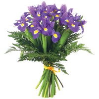 Ариадна - заказать доставку цветов онлайн