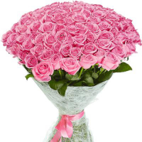 49 розовых роз - заказать доставку цветов онлайн
