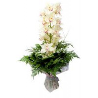 Букет из орхидей в бело-зеленой гамме  - заказать доставку цветов онлайн